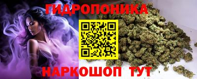 винт Гатчина